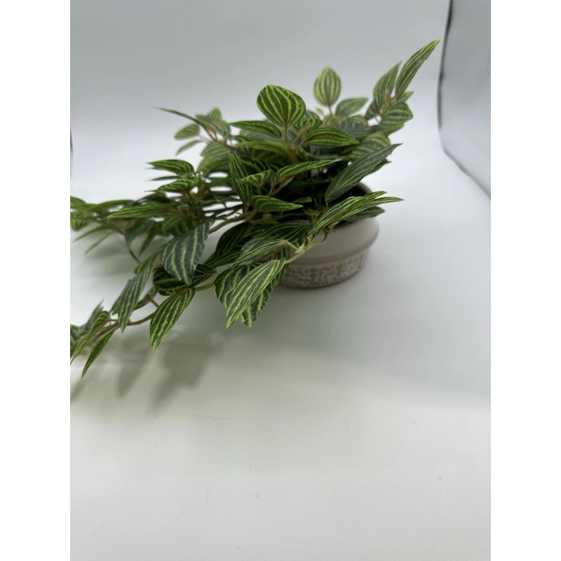 Threshold Ceramic Potted Faux Artificial Plant 6 In Height 15