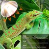 3 Pack UVA UVB Reptile Light Halogen Bulbs Beads Heat