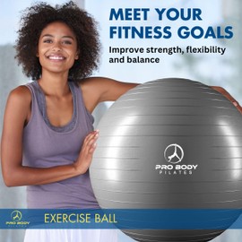 ProBody Pilates Exercise Ball - Multiple Sizes Gym Grade Balance Ball for Fitness, Workout, Pregnancy & Physical Therapy, Stability Yoga Ball Chair (Silver, 55cm)