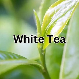 Gift for Teacher Day from Student Teacher Appreciation Gift Candle Best Educator Thank Your Present Smells Like Winter Break Decoration - Scents: White Tea, Size: 9oz oz. candle Amber Jar