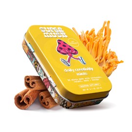 SuperMush Daily Creativity and Connection SuppleMint | Cordyceps, Reishi, Maca & Bacopa Monnieri Mixed Mushrooms Extract | Pure Breath Mint for Creativity & Connection | 20g Organic Mushroom Mint