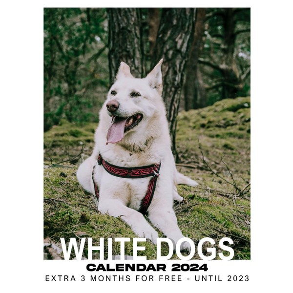 Calendar 2024: Great Gift For Beloved Fan and Collectors, Jan