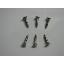 Unbranded BACKPLATE TREMOLO COVER STAINLESS STEEL SCREWS (6)