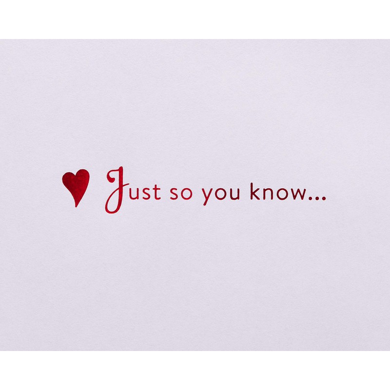 Papyrus Romantic Valentines Day Card (Just So You Know)