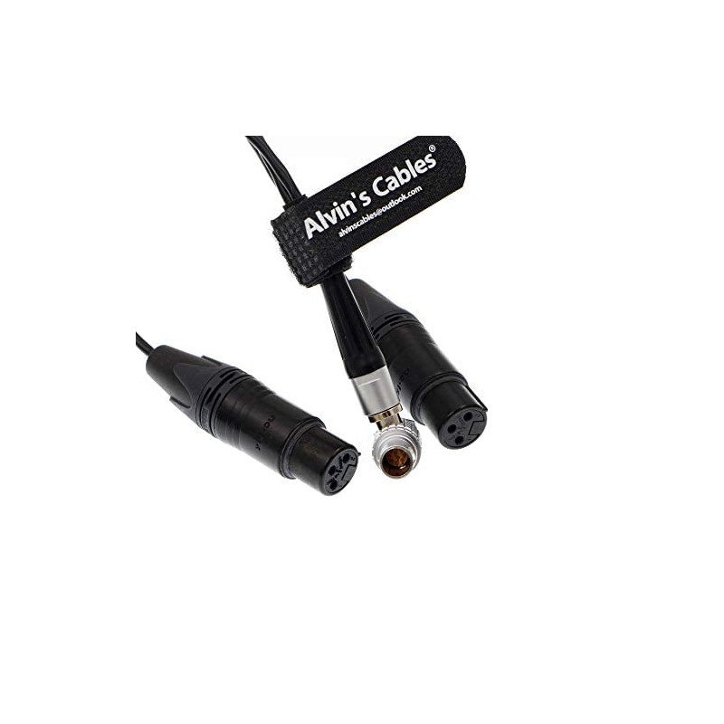 XLR Breakout Audio Input Cable Right Angle 10 pin to