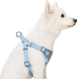 Blueberry Pet Essentials Pastel Color Reflective Dog Harness Vest, Chest Girth 17.5" - 21", Baby Blue, Small, Adjustable Harnesses for Dogs