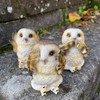 Objectz - Three Little Owls - Hear Nothing See Say