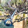 Kili Shinoji Bud Pruning Shears, Made in Japan, Sanjo, Niigata