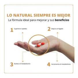 Mango Africano 30 Caps De 500 Mg Control De Peso Y Apetito