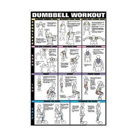 Dumbbell Workout Ii 24" X 36" Laminated Chart (Shoulder, Back, Leg, & Calf)