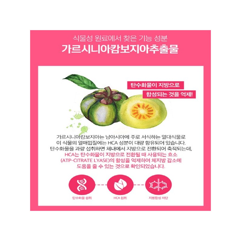 체지방 내장지방 약56일분 분해제 컷팅제 56-Day Body Fat and Visceral