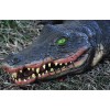 CostumeZone Swamp Gator Foam Filled 4 Feet - Costumezone