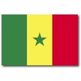 STICKER FRENZY Senegal Senegalese Flag Car Decal - 3" x 5"