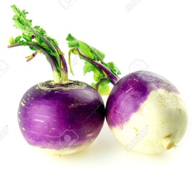 Turnip Garden Seeds - Purple Top White Globe - 5 Lb Bulk - Non-GMO, Heirloom Vegetable Garden & Microgreens Seeds