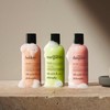 philosophy 3-pc. congrats shower gel gift set