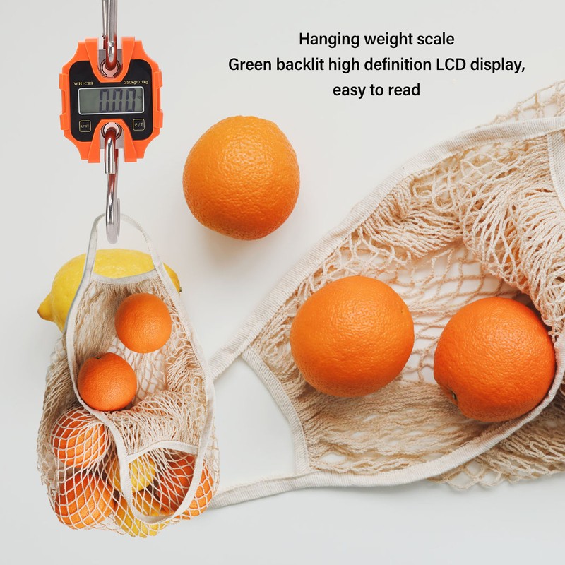 Digital Crane Scale 550lb High Accuracy Compact LCD Handheld Hanging