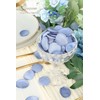 Floroom 300pcs Rose Petals Dusty Blue Faux Silk Flower Petals