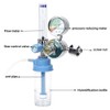 Oxygen Pressure Gas Regulator 0-100mpa AirRegulator Inhalator Oxygen Meter Pressure