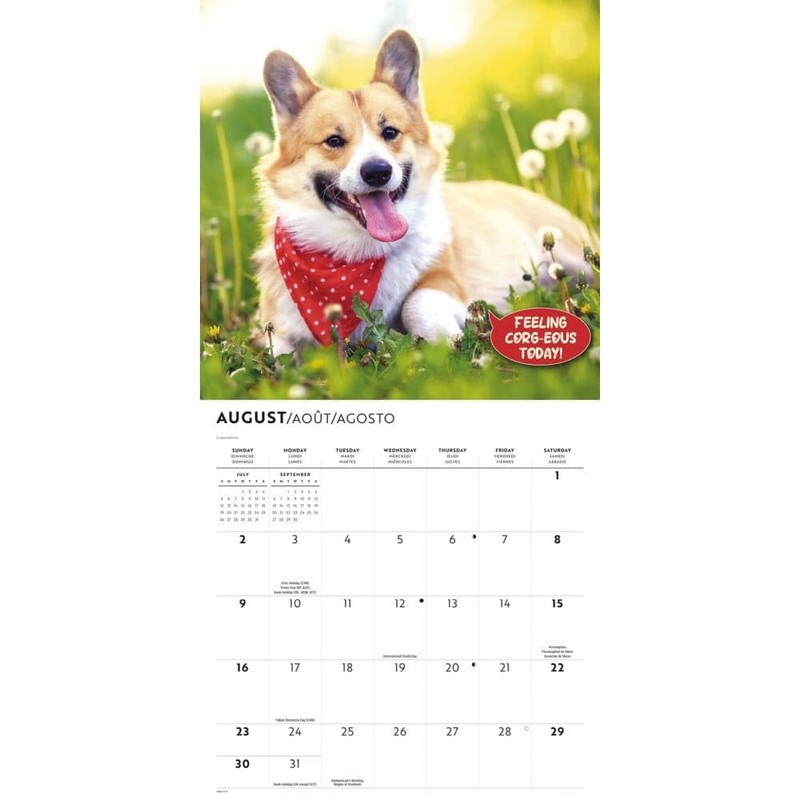 Carousel Calendars, Corgi Capers 2026 Wall Calendar, 12'' X 12'',