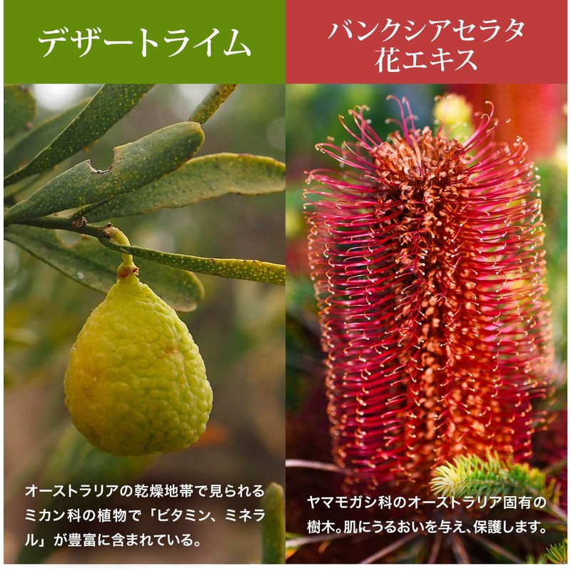 GREEN NATION LIFE - Intensive Hand Cream 50ml Sweet Orange