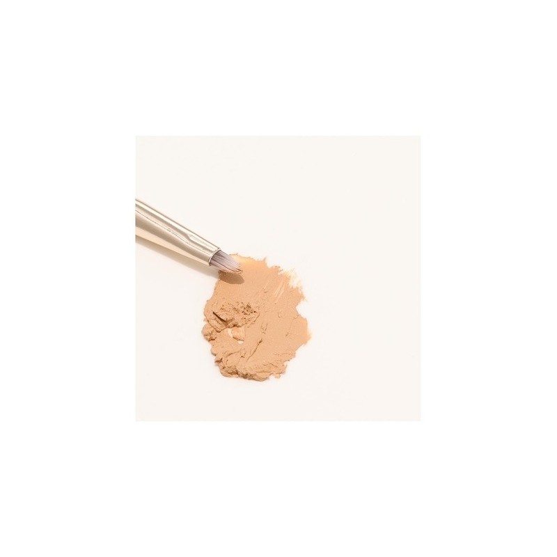 220 Small Concealer Brush / 220 스몰 컨실러 브러쉬