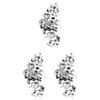 Tattoo Stickers Rose Snake hm1381 Regular Size, Pack of 3