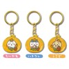 [API] Chiikawa Local Limited Die Cut Key Chain, Shizuoka Limited