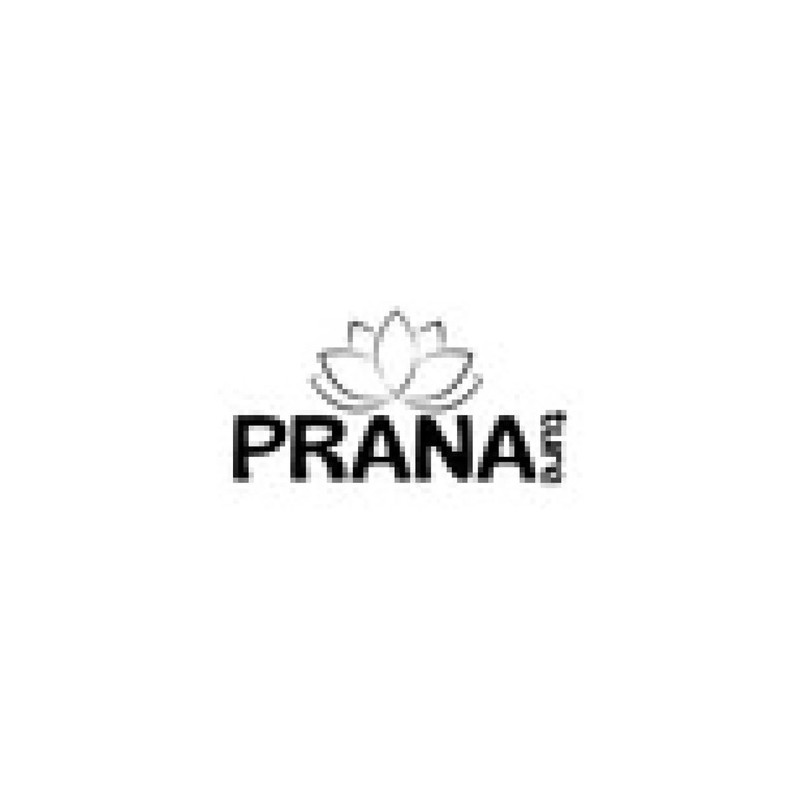 Pranature Melena De León Polvo Puro 100g