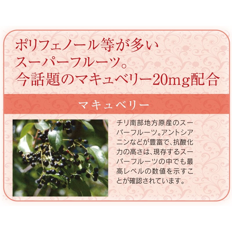 みどりむしファインプラスα 110粒入り×2本(12%増量) ミドリムシ(ユーグレナ)サプリメント
