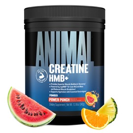Animal Creatine HMB+ - Creatine Monohydrate Powder with HMB & Electrolytes, Supports Muscle Growth, Recovery, Endurance, Gym & Workout Supplements for Men & Women - Power Punch Flavored, 30 Servings