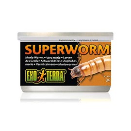 Exo Terra Canned Superworms - 34 g (1.2 oz)