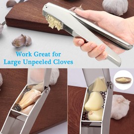 AYADA Garlic Press, Stainless Steel, Square Hole Design, Dishwasher Safe, Silver