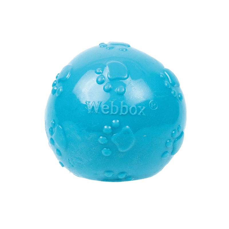 Webbox Fun & Squeaky Balls (4 Pack) - Boredom Buster