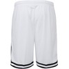 Karl Kani Men's Signature Mesh Shorts, white / black, XXL
