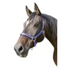Kerbl Unisex's Mustang Head Collar-Royal Blue/Black, Size 2