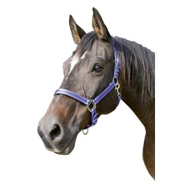 Kerbl Unisex's Mustang Head Collar-Royal Blue/Black, Size 2