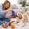 PUBAMALL Juguetes para Perros de Entrenamiento Molar, Set de 12
