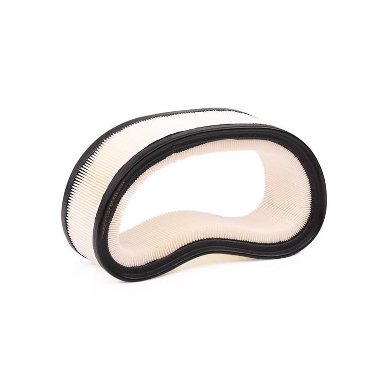Ridex 8 A0193 Air Filter for Air Filter