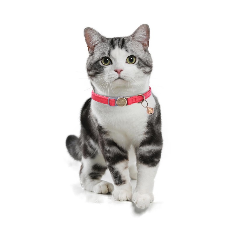 THAIN Cat Collar, Safety Buckle, Cat Collar, Includes Bell, Leather,