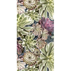 IHR Ideal Home Range - Paper Napkins SUKKULENT 16-Count 3-Ply Guest Towel 8.5 x 4.5 inches