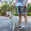EXCELLENT ELITE SPANKER Tactical Bungee Dog Leash Military Adjustable Dog