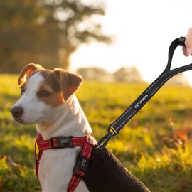 JIPIMON Short Dog Leash with Comfortable Handle Reflective Heavy Duty Short Leash for Dog Training Control (Black)