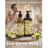 Oleum Vitae Kit Dúo Shower Gel Body Lotion Cocomint Fresh