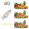 Edearkar G9 LED Bulbs Base Light Bulbs 1W AC110V Dimmable