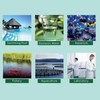9951W Water Quality Meter 5 in 1 Multi WiFi Continuous