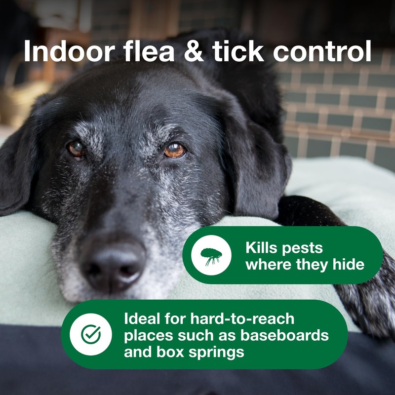 Advantage Household Spot & Crevice Spray | Kills Fleas &