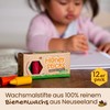 Honeysticks Honeysticks Wachsmalstifte aus 100 % Bienenwachs (12er-Pack) – Ungiftig