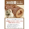 Croixx Hamster Toothpaste (Natural Wood), Rabbit, Tegu, Small Animal, Toy,