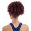 Shake-N-Go Freetress Equal Lite Ponytail Crown Updo - (Medium Brown