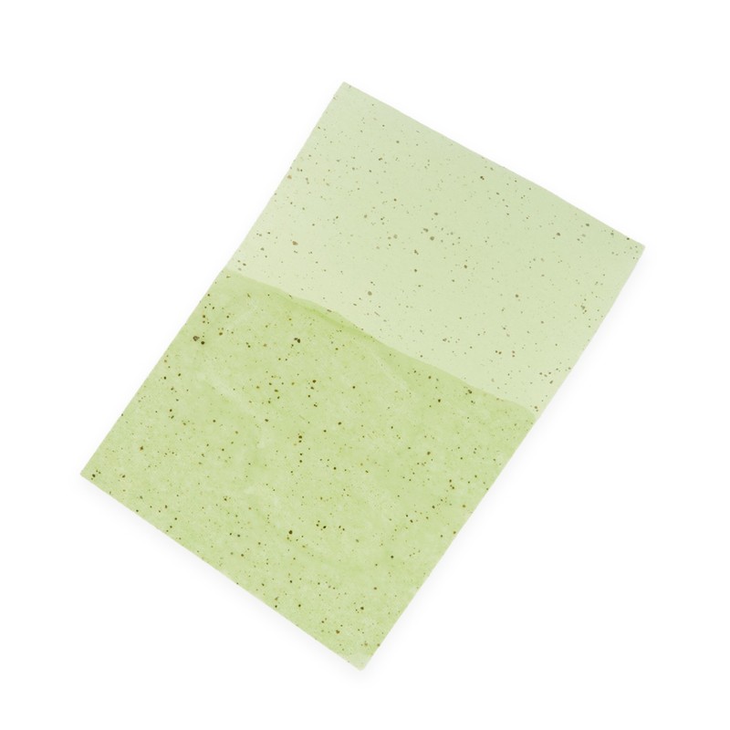 Nellic Daily Soft Green Tea Oil-Absorbing Sheets, 100 Sheets per